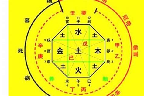 十神查詢|生辰八字算命、五行喜用神查询（免费测算）